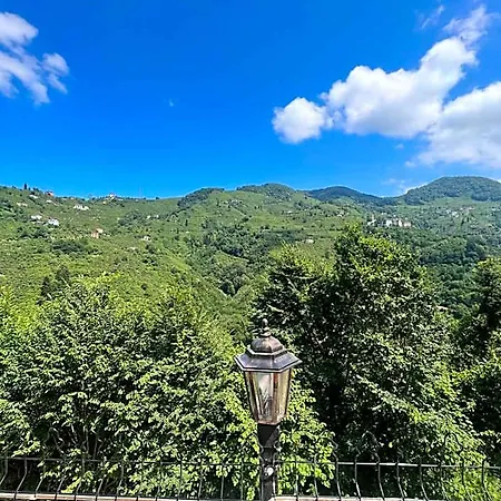 Hidden Garden 3* Trabzon